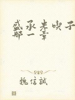 盛承光吃子时奶哪一章