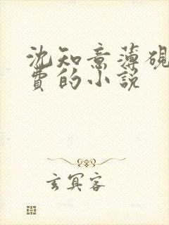 沈知意薄砚霆免费的小说