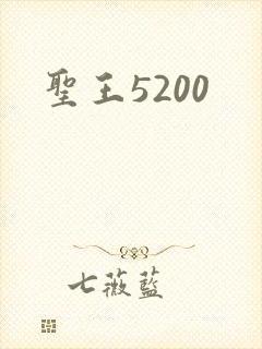 圣王5200