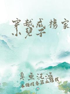 穿越成杨家将最小儿子