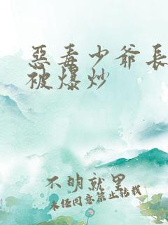 恶毒少爷长大后被爆炒