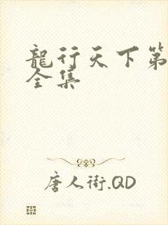 龙行天下第二部全集