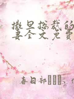 撒旦总裁的下堂妻全文免费阅读