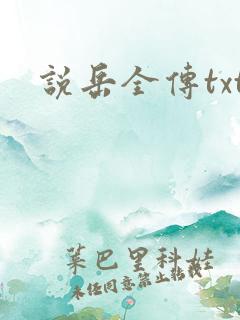 说岳全传txt