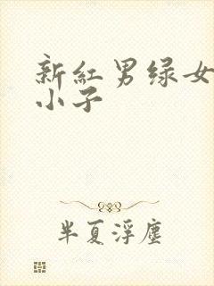 新红男绿女之坏小子