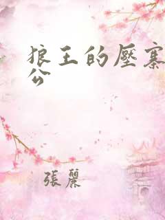 狼王的压寨小相公