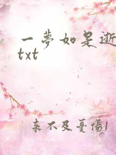 一梦如是逝水长txt