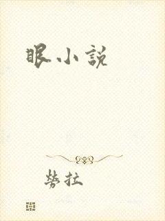 眼小说