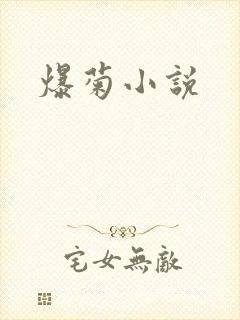 爆菊小说
