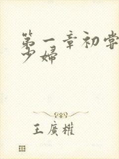 第一章初尝云雨少妇