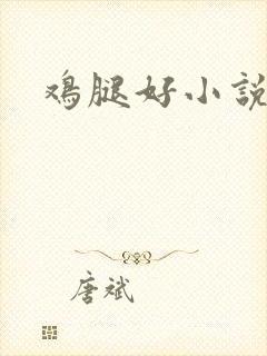 鸡腿好小说网