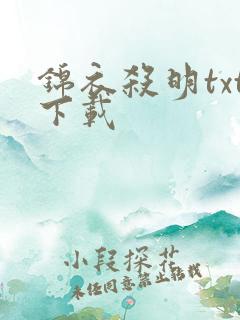 锦衣杀明txt下载