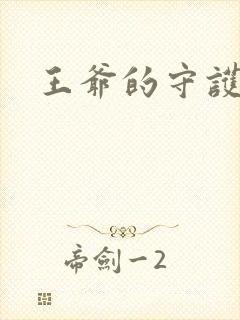 王爷的守护男妃