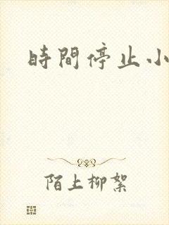 时间停止小说