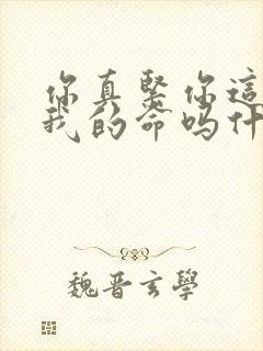 你真紧你这是要我的命吗什么意思