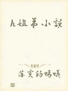 h姐弟小说