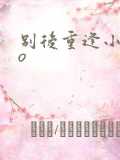 别后重逢小说po