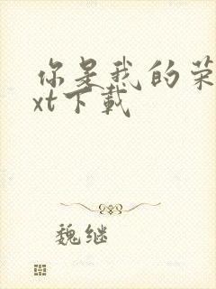 你是我的荣耀txt下载