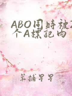 ABO同时被2个A标记肉