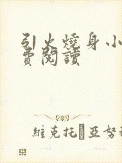 引火烧身小说免费阅读