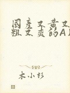 国产又黄又猛又粗又爽的A片小说