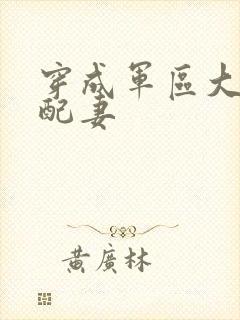 穿成军区大佬女配妻