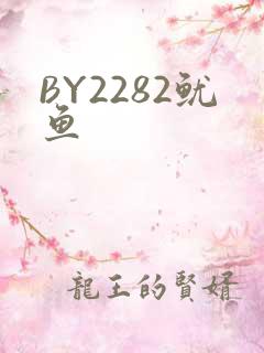 BY2282鱿鱼