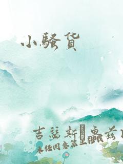 小骚货