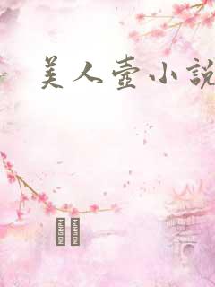 美人壶小说