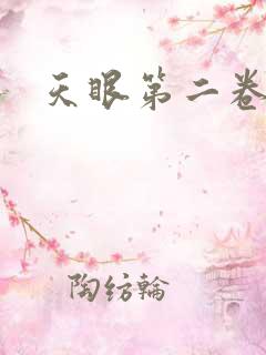 天眼第二卷