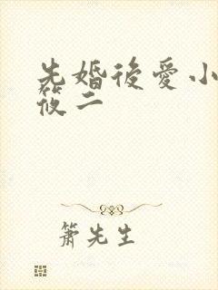 先婚后爱小说梦筱二