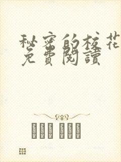 秘密的校花小说免费阅读