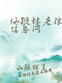 仙踪林老狼贰佰信息网