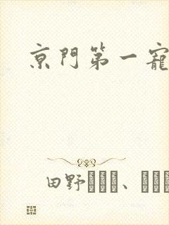 京门第一宠