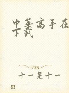 中华高手在异世下载