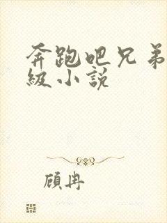 奔跑吧兄弟限制级小说