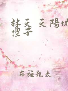 林天 天阳城 傻子