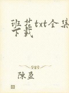 班花txt全集下载
