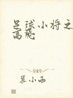 足球小将之展翅高飞