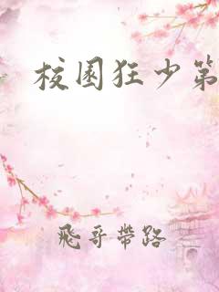 校园狂少第二部