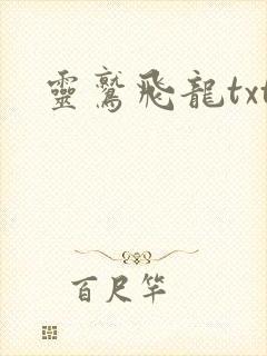 灵鹫飞龙txt