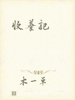 收养记