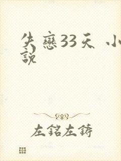 失恋33天 小说