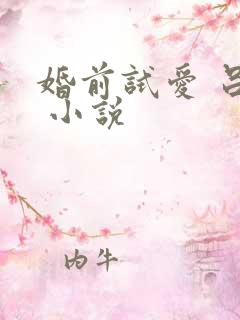 婚前试爱 吕颜 小说