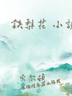 铁梨花 小说