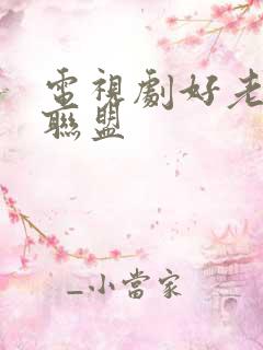 电视剧好老婆大联盟