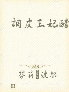 调皮王妃醋王爷