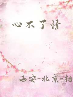 心不了情