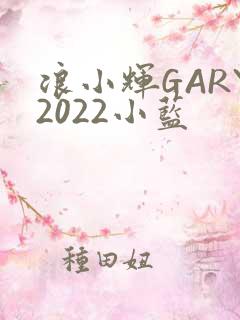 浪小辉GARY2022小蓝