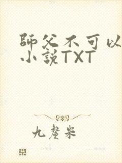 师父不可以灵犀小说TXT